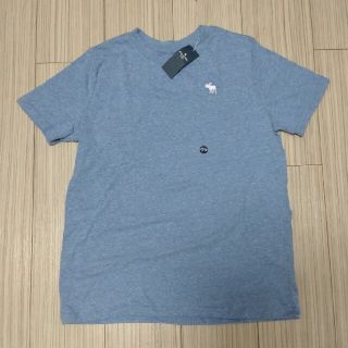 アバクロンビーアンドフィッチ(Abercrombie&Fitch)の【新品/アバクロ】アイコンTシャツ(Tシャツ(半袖/袖なし))