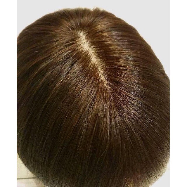 大人気商品 レミー人毛100%シルクスキンI型つむじ総手植え地肌✨広瀬