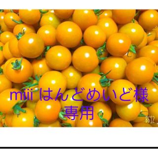 miii はんどめいど様専用ページ(野菜)