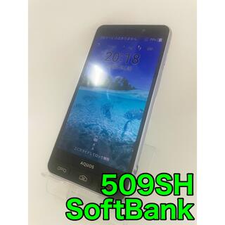 AQUOS シンプルスマホ3 509SH 16GB SoftBank(スマートフォン本体)