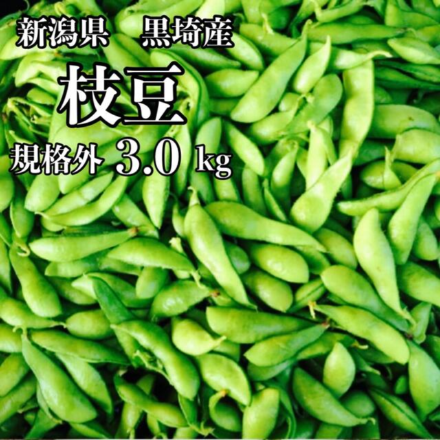 新潟県黒埼産 茶豆 規格外品 3.0kg 食品/飲料/酒の食品(野菜)の商品写真