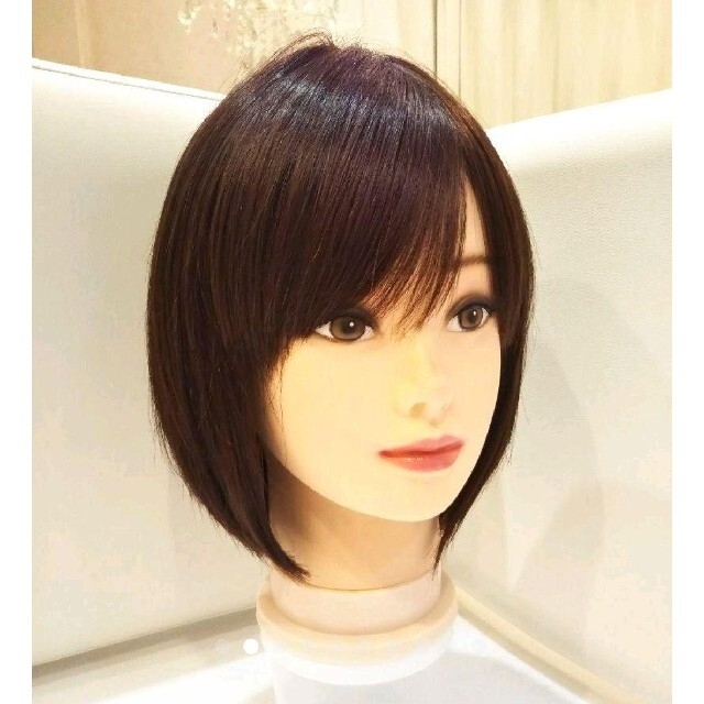 レミー人毛100%ウィッグ✨総手植え地肌✨本田翼❣️さら艶髪!美人