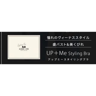 ジェイダ(GYDA)のAGARISM×GYDAアップミースタイリングブラMサイズ2枚セット(ブラ)