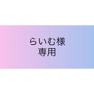 インナーマスク 2枚セット 12.13(外出用品)