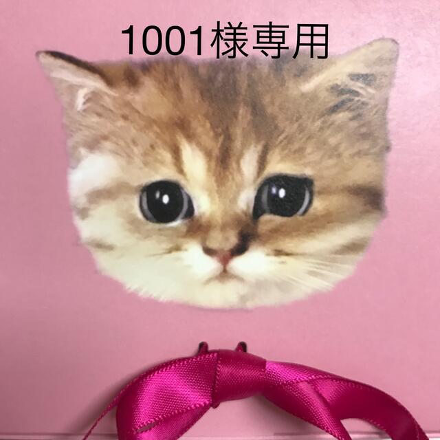 1001様専用 その他のペット用品(猫)の商品写真