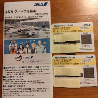 ANA 株主優待　チケット2枚セット(その他)