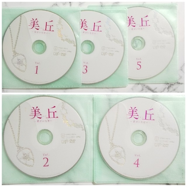 吉高由里子★林遣都★勝地涼『美丘－君がいた日々－』レンタル落ちDVD★全巻 2