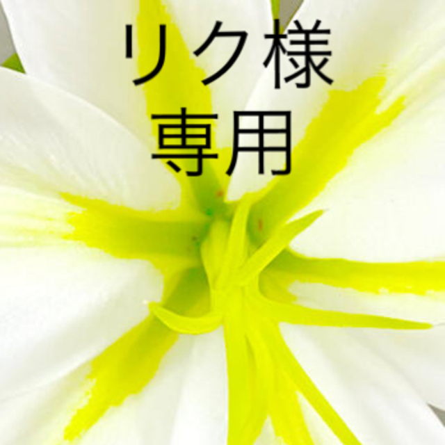 2022高い素材 リク様専用 - winterparksmiles.com