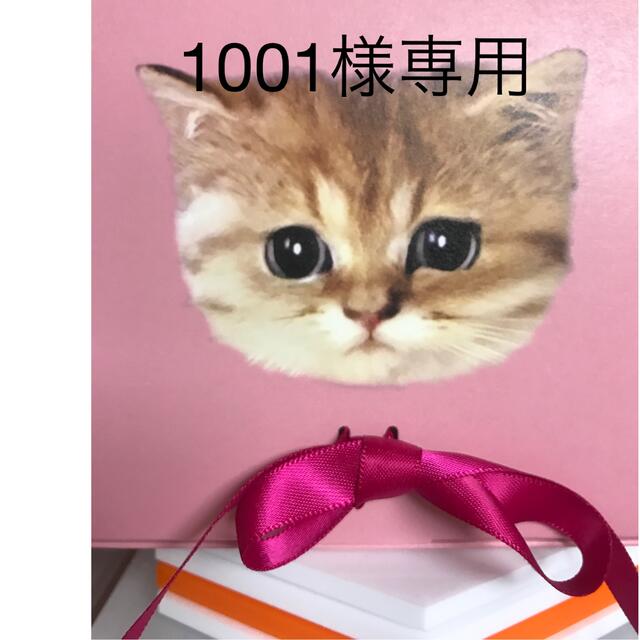 人気特価 1001様専用 猫