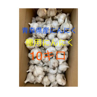 にんにく　種用にんにく　青森県産ホワイト六片にんにく　Lサイズ１０キロ(野菜)
