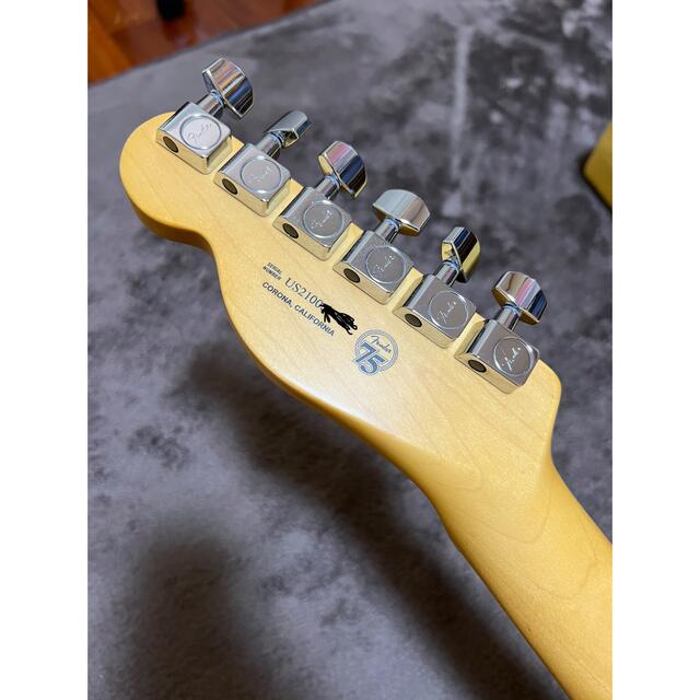 Fender(フェンダー)のFenderAmericanProfessional II Telecaster 楽器のギター(エレキギター)の商品写真