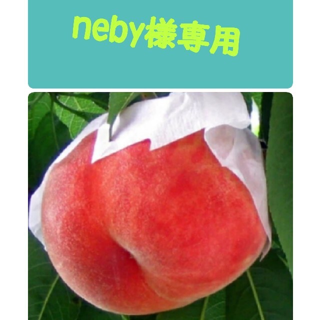 🍑neby様専用🍑５キロ 食品/飲料/酒の食品(フルーツ)の商品写真