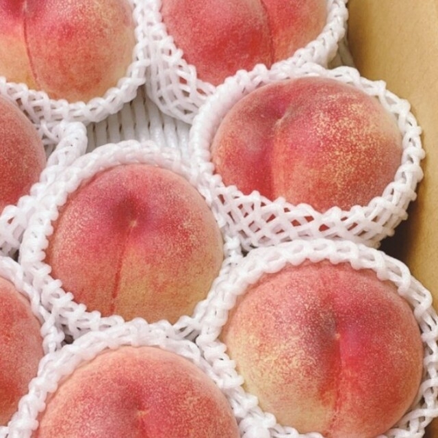 🍑neby様専用🍑５キロ 食品/飲料/酒の食品(フルーツ)の商品写真