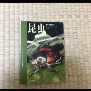 オウブンシャ(旺文社)の昆虫 旺文社(語学/参考書)