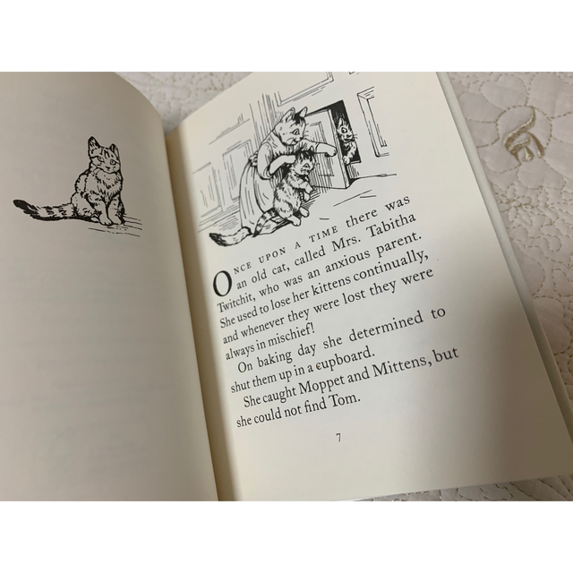 THE TALE OF SAMUEL WHISKERS エンタメ/ホビーの本(洋書)の商品写真