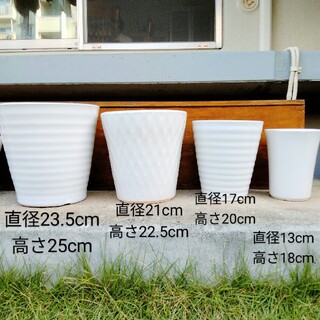●胡蝶蘭が入っていた植木鉢　陶器製　白　4個セット⑥●