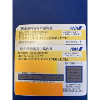 エーエヌエー(ゼンニッポンクウユ)(ANA(全日本空輸))のANA株主優待券（2枚）(その他)