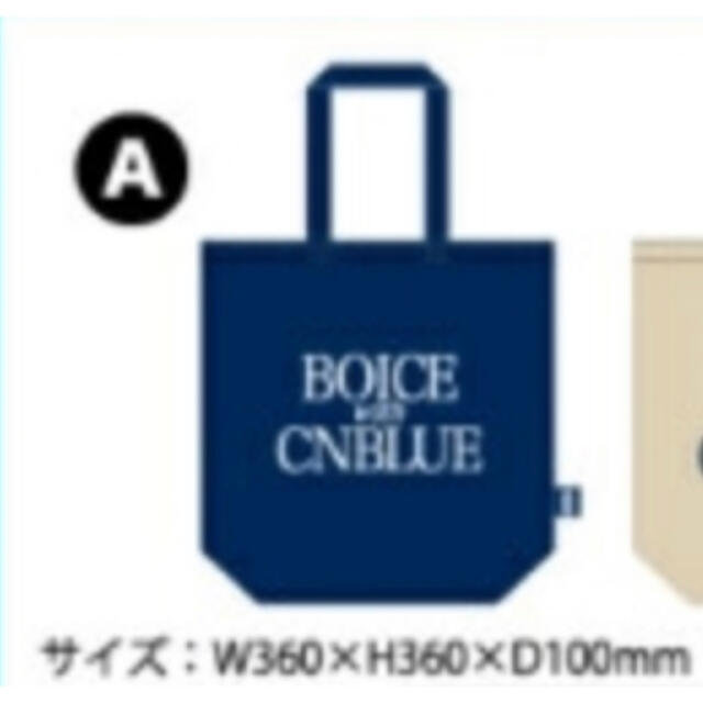 CNBLUE グッズ まとめ売り