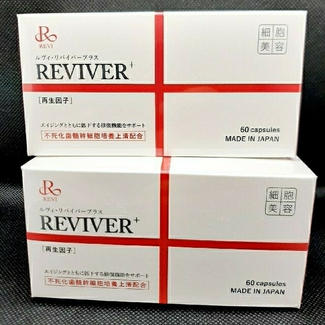 アウトレット公式 REVI ルヴィ 陶肌ファンデーション ケース付 & リバイバープラス 60粒 - venda4u.com.br