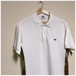 JUNYA WATANABE COMME des GARCONS - LACOSTE eye junya watanabe man