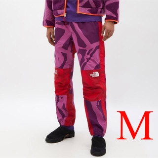 THE NORTH FACE - Kaws The North Face Mountain Light Pant