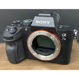 ソニー(SONY)のSONY α7 Ⅲ ILCE-7M3(デジタル一眼)