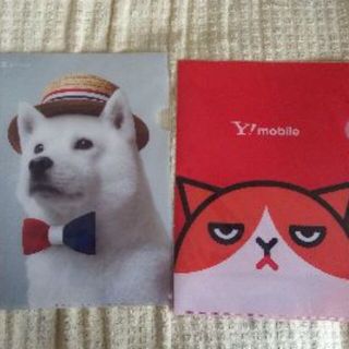 A4ファイル☆2枚セット　ソフトバンク・ヤフーモバイル(ノベルティグッズ)