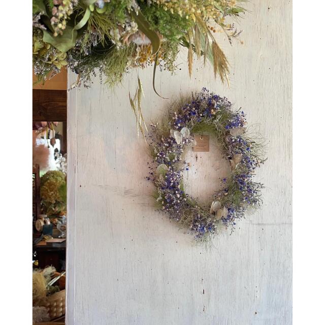 Summer oval wreathe〜夏涼やかなオーバルリース○ドライフラワー ハンドメイドのフラワー/ガーデン(リース)の商品写真