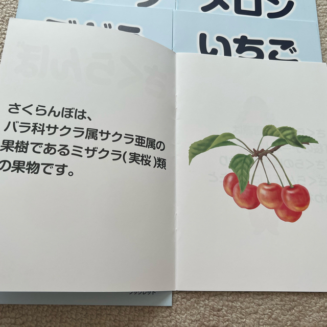 ベビーパーク　知育ドリル、くだもの絵本8冊セット エンタメ/ホビーの本(絵本/児童書)の商品写真