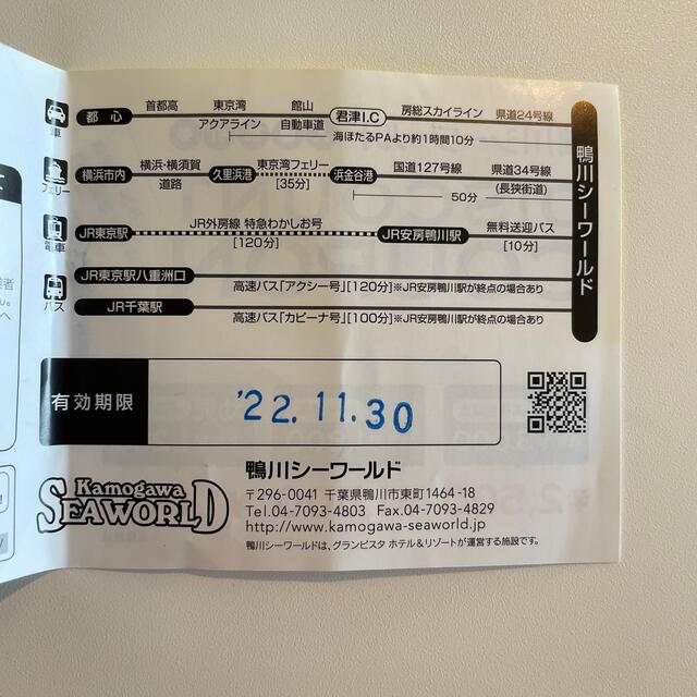鴨川シーワールド　割引　チケット　クーポン チケットの施設利用券(水族館)の商品写真
