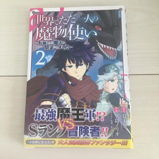 世界でただ一人の魔物使い 転職したら魔王に間違われました ２(少年漫画)