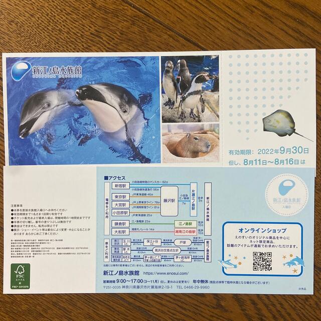 新江ノ島水族館 ご招待券2枚 チケットの施設利用券(水族館)の商品写真