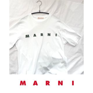 マルニ(Marni)のmarni 大人OKサイズ12 ロゴTシャツ(Tシャツ(半袖/袖なし))