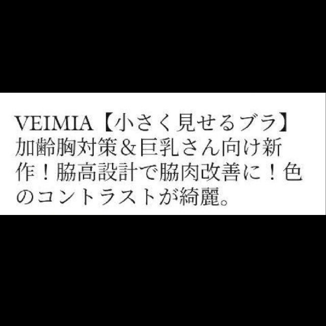 ヴェーミア VEIMIA(わけあり)小さく見せるブラジャー レディースの下着/アンダーウェア(ブラ)の商品写真