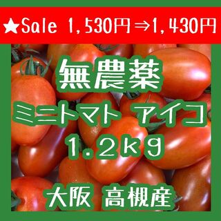 【Sale1530→1430】無農薬 ミニトマト アイコ 1.2kg 大阪高槻産(野菜)