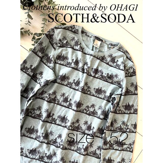 SCOTCH & SODA(スコッチアンドソーダ)の*スコッチ&ソーダ ヤシの木柄 ボーイズTee 152cm*SCOTH&SODA キッズ/ベビー/マタニティのキッズ服男の子用(90cm~)(Tシャツ/カットソー)の商品写真