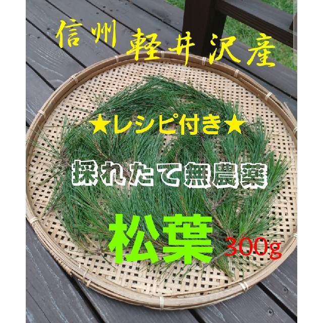 軽井沢産 天然無農薬松の新芽 上質赤松松の葉300g超 松葉茶松ジュースに 松葉 食品/飲料/酒の食品(野菜)の商品写真