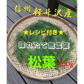軽井沢産 天然無農薬松の新芽 上質赤松松の葉300g超 松葉茶松ジュースに 松葉(野菜)