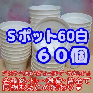 《Sポット60》白 60個 スリット鉢 プラ鉢 2号鉢相当 多肉植物 プレステラ(プランター)