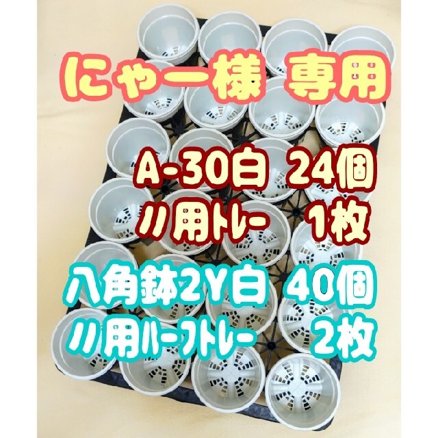 プラ鉢3号鉢【A-30】24個+専用システムトレー1枚他スリット鉢プレステラ多肉