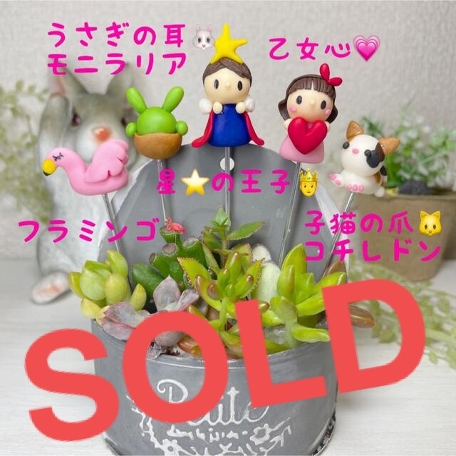 ハンドメイド　ガーデンピック　多肉植物名前プレートピック　1250円プレゼント