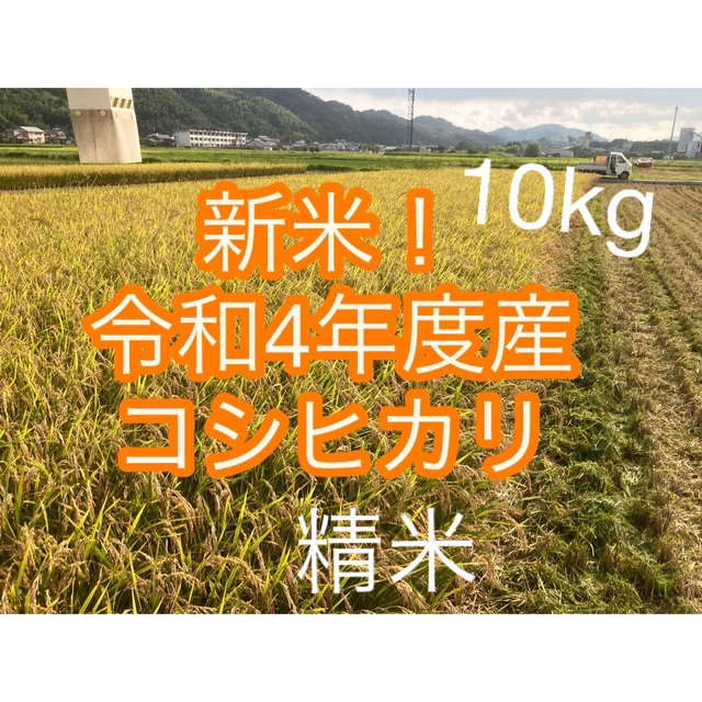 令和4年度コシヒカリ10kg高知県産精米 食品/飲料/酒の食品(米/穀物)の商品写真