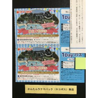 2枚 即日発送可 東京サマーランド 1Dayパス 東京都競馬 株主優待券(プール)