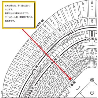 ヨミウリジャイアンツ(読売ジャイアンツ)の8月20日(土) 巨人vs阪神 東京ドーム オーロラシートペア 角席 超良席(野球)