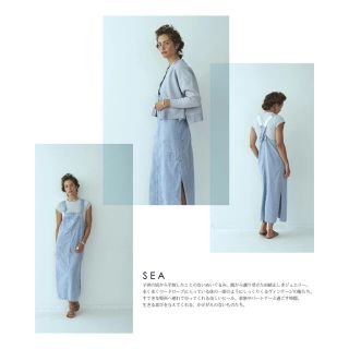 シー(SEA)のSEA☆ヴィンテージデニムエプロンオーバーオール (その他)