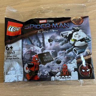 レゴ(Lego)の未開封　正規品　レゴ LEGO 30443 マーベル スパイダーマン(その他)