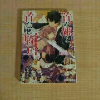 カドカワショテン(角川書店)の首の姫と首なし騎士 いわくつきの訪問者(文学/小説)