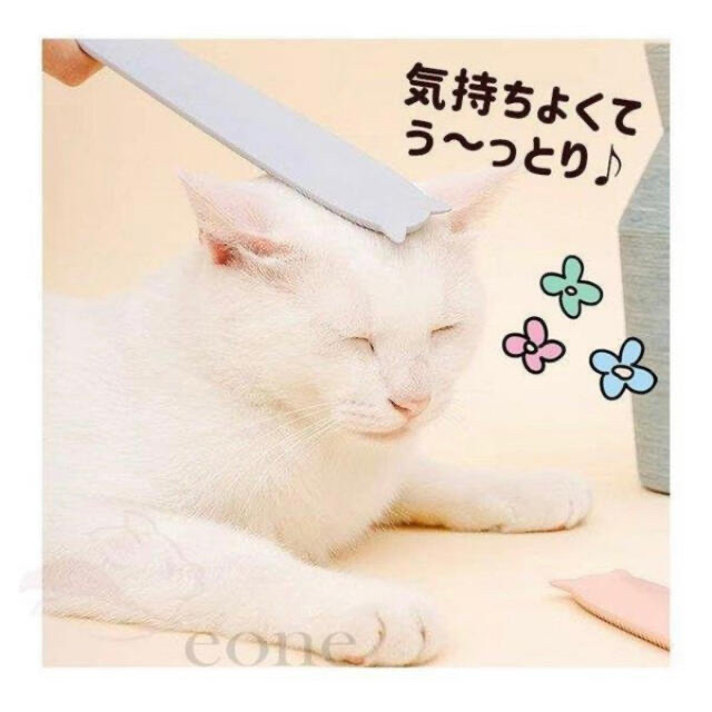 【新品未使用】猫じゃすり＊猫舌グルーミングブラシ＊ グレー　ピンク その他のペット用品(猫)の商品写真