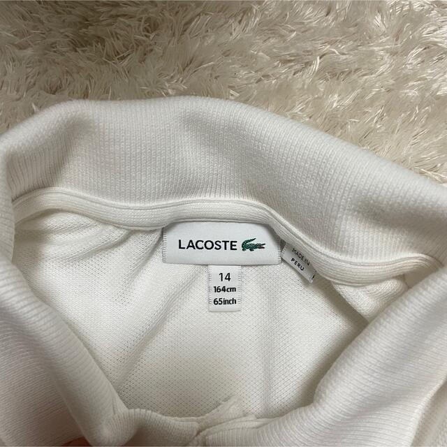 LACOSTE(ラコステ)のLACOSTE ポロシャツ🐊 レディースのトップス(ポロシャツ)の商品写真