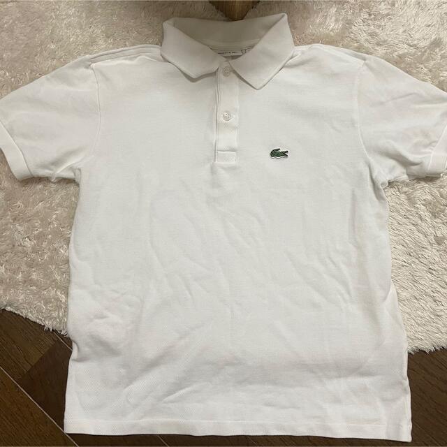 LACOSTE(ラコステ)のLACOSTE ポロシャツ🐊 レディースのトップス(ポロシャツ)の商品写真